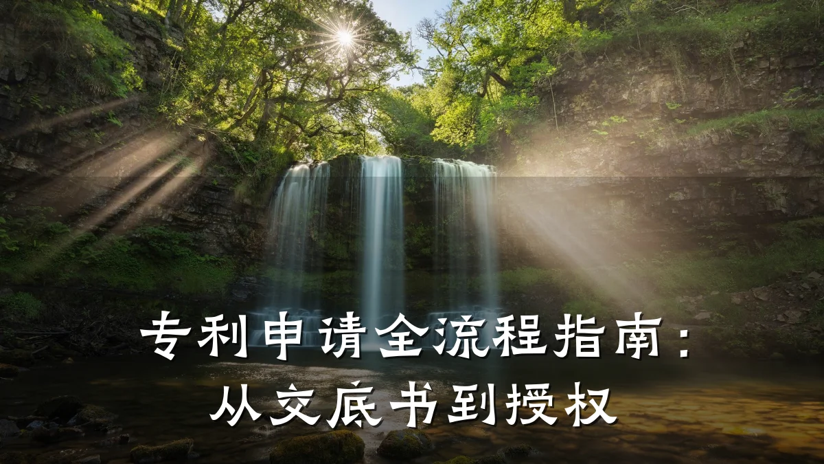专利申请全流程指南:从交底书到授权