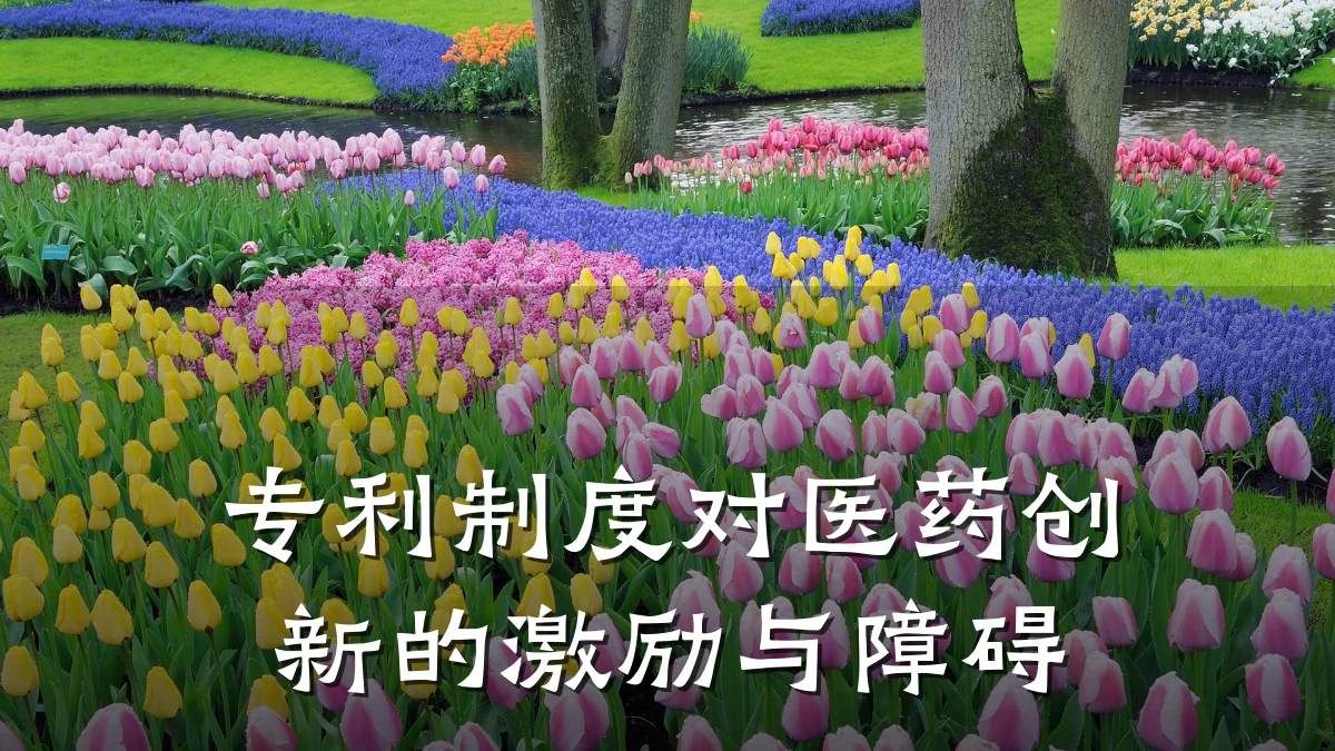 专利制度对医药创新的激励与障碍