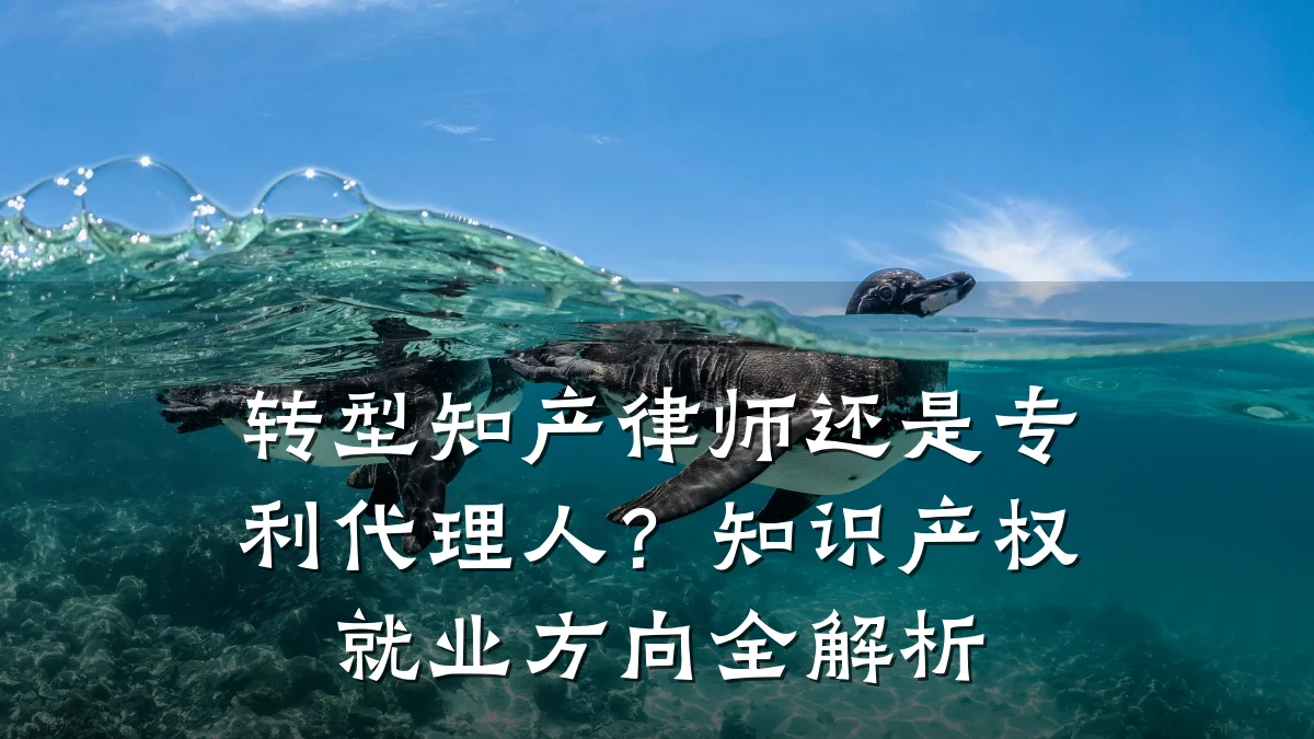 转型知产律师还是专利代理人？知识产权就业方向全解析