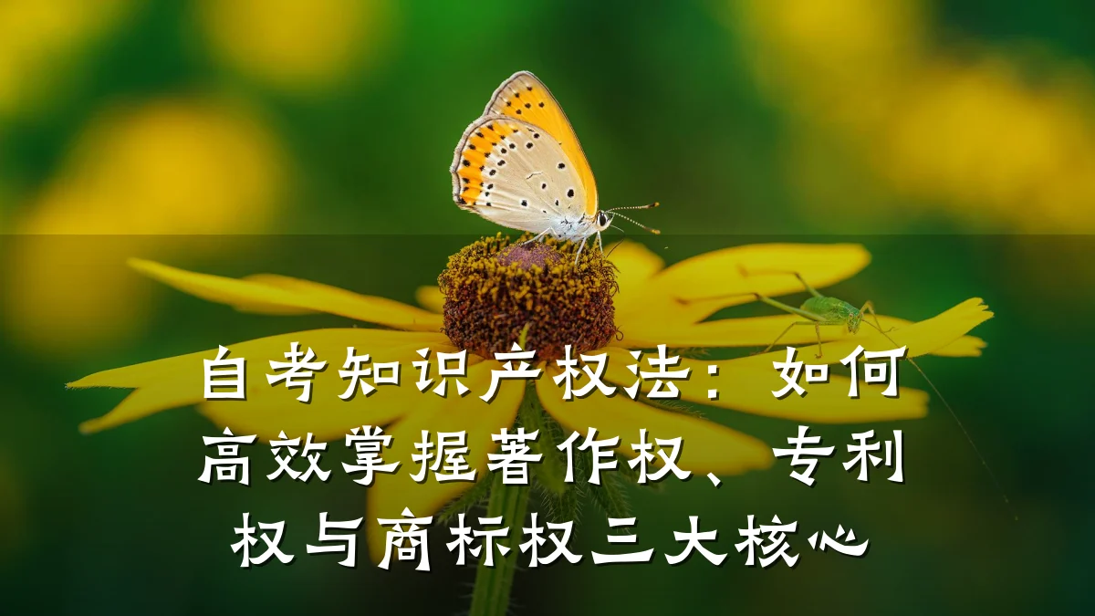 自考知识产权法：如何高效掌握著作权、专利权与商标权三大核心