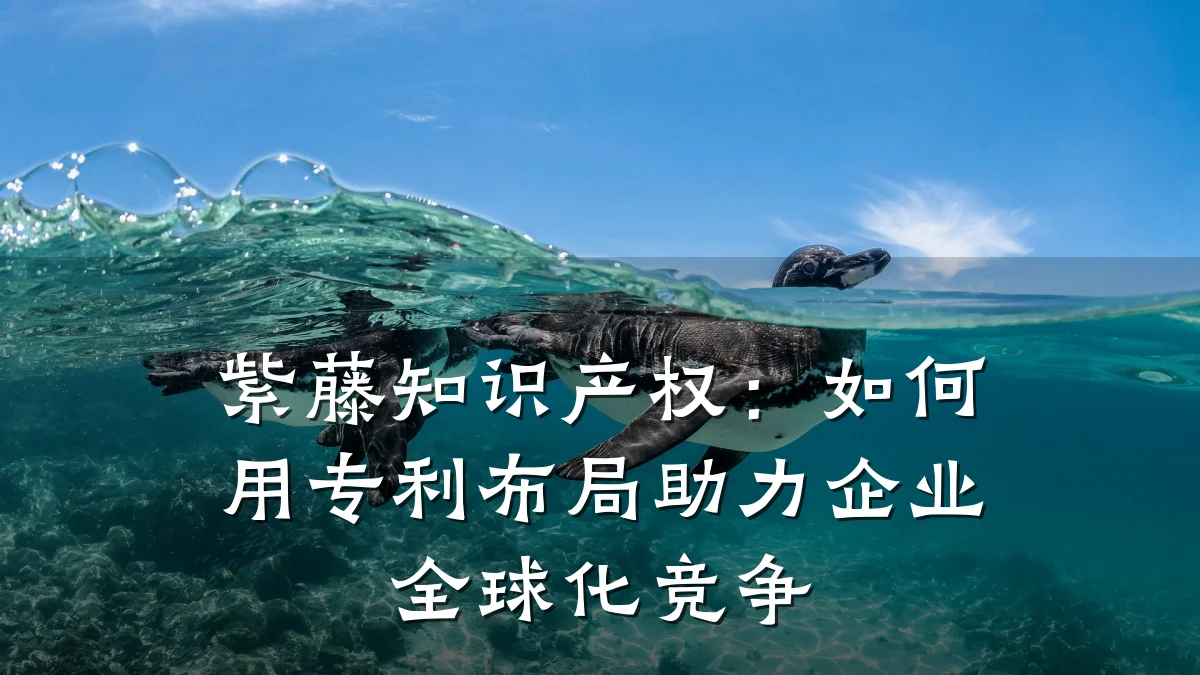 紫藤知识产权：如何用专利布局助力企业全球化竞争