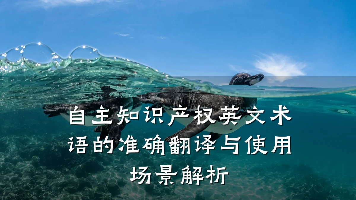 自主知识产权英文术语的准确翻译与使用场景解析