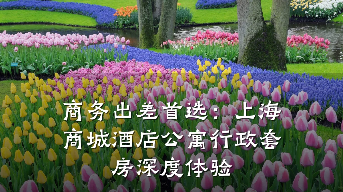 商务出差首选：上海商城酒店公寓行政套房深度体验