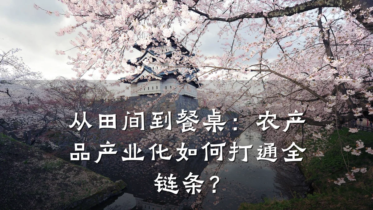 从田间到餐桌：农产品产业化如何打通全链条？