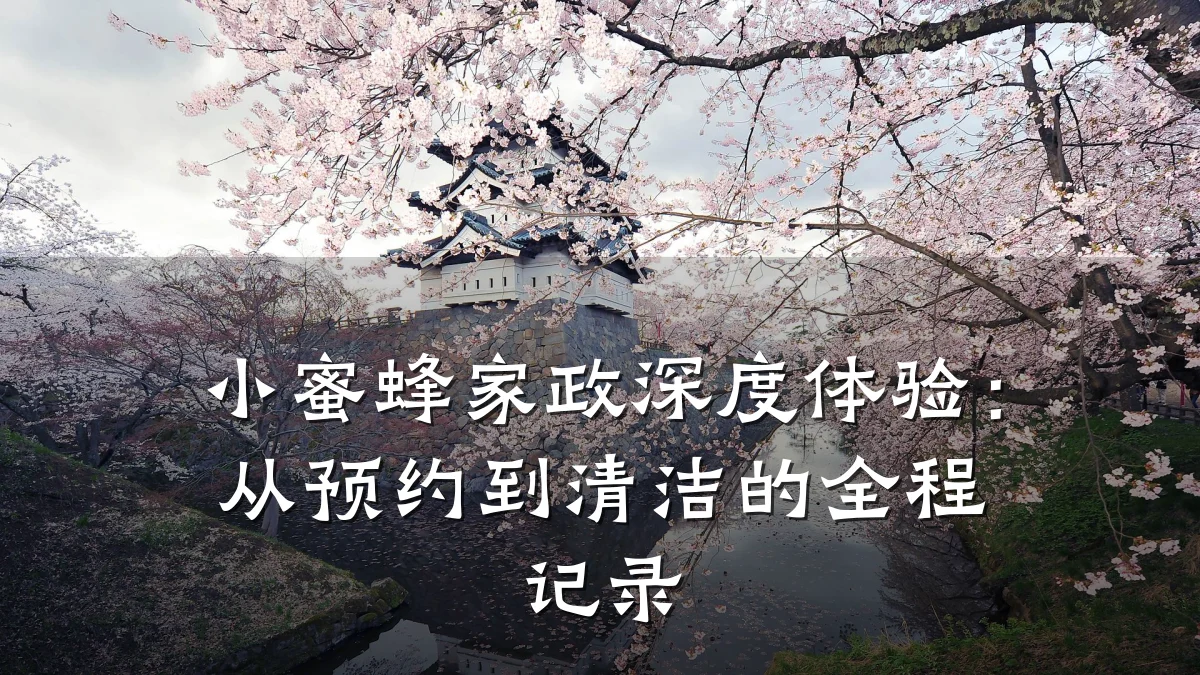 小蜜蜂家政深度体验：从预约到清洁的全程记录