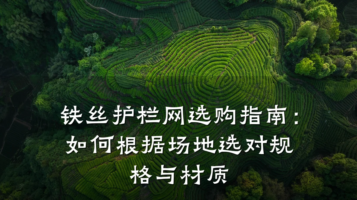 铁丝护栏网选购指南：如何根据场地选对规格与材质