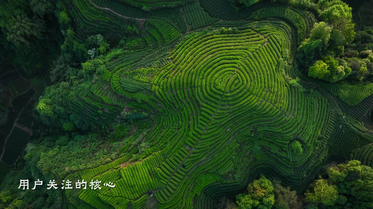 用户关注的核心
