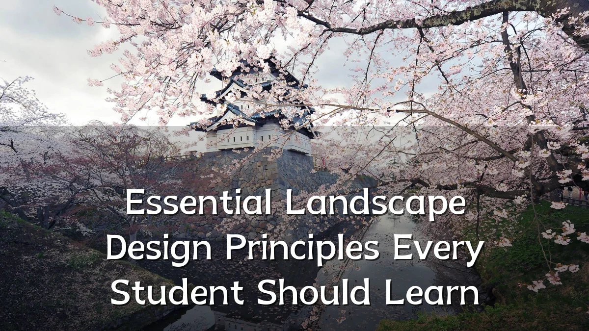 Essential Landscape Design Principles Every Student Should Learn