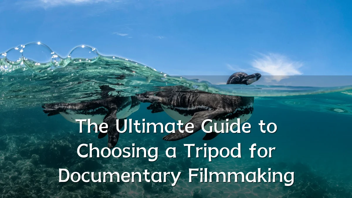 The Ultimate Guide to Choosing a Tripod for Documentary Filmmaking