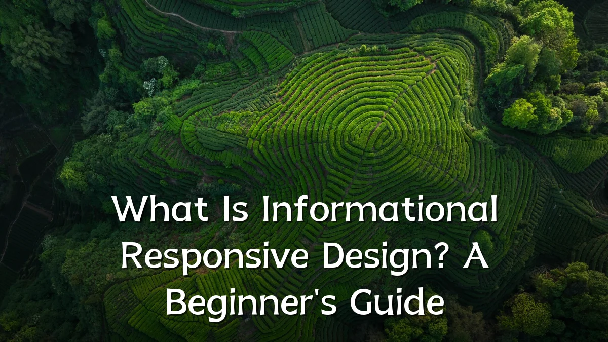 What Is Informational Responsive Design? A Beginner's Guide