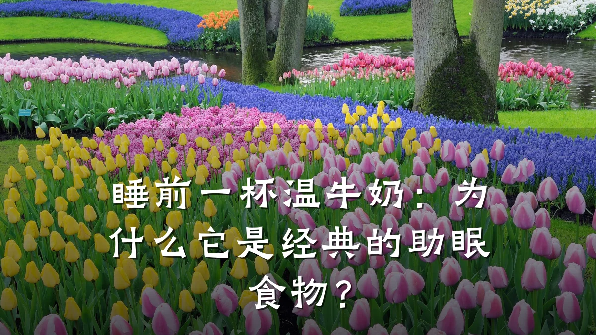 睡前一杯温牛奶：为什么它是经典的助眠食物？