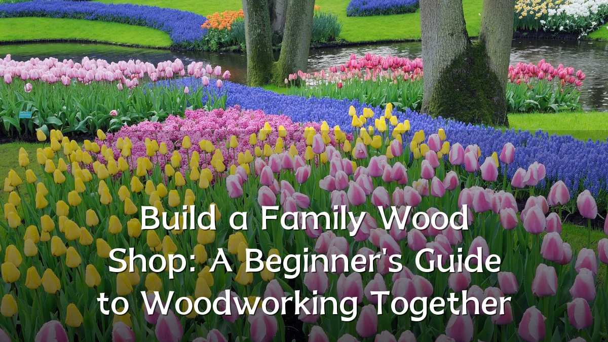 Build a Family Wood Shop: A Beginner's Guide to Woodworking Together