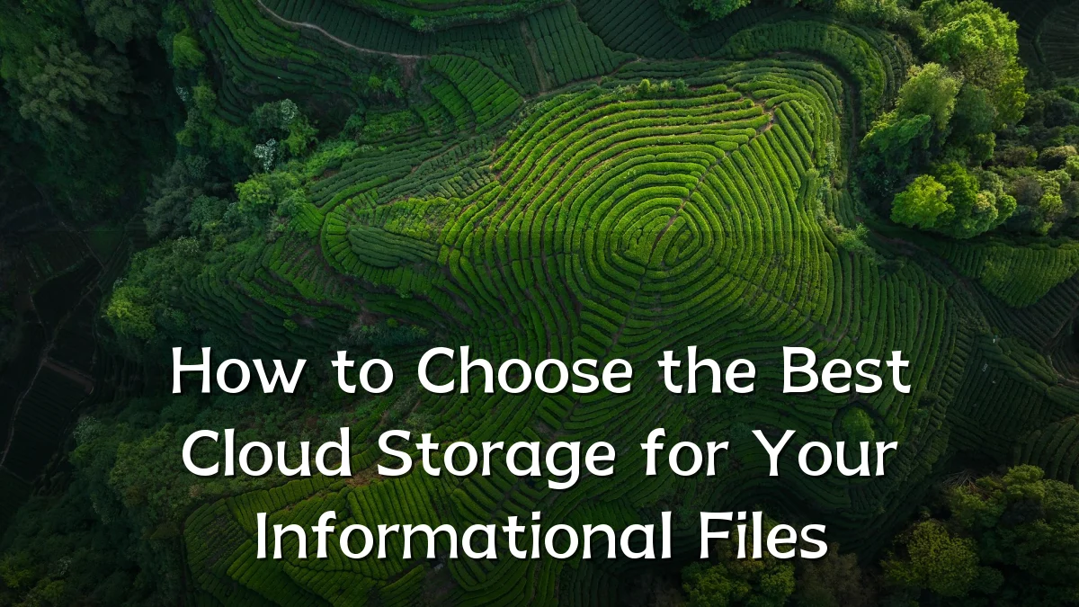 How to Choose the Best Cloud Storage for Your Informational Files