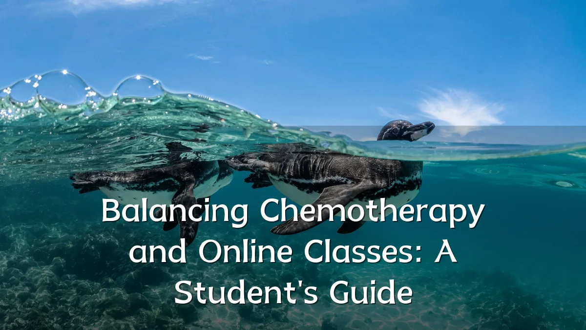 Balancing Chemotherapy and Online Classes: A Student's Guide