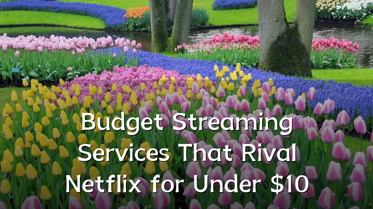 Budget Streaming Services That Rival Netflix for Under $10