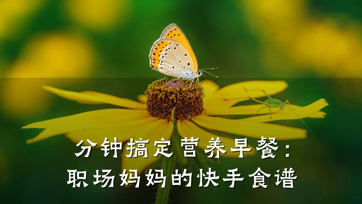 分钟搞定营养早餐：职场妈妈的快手食谱