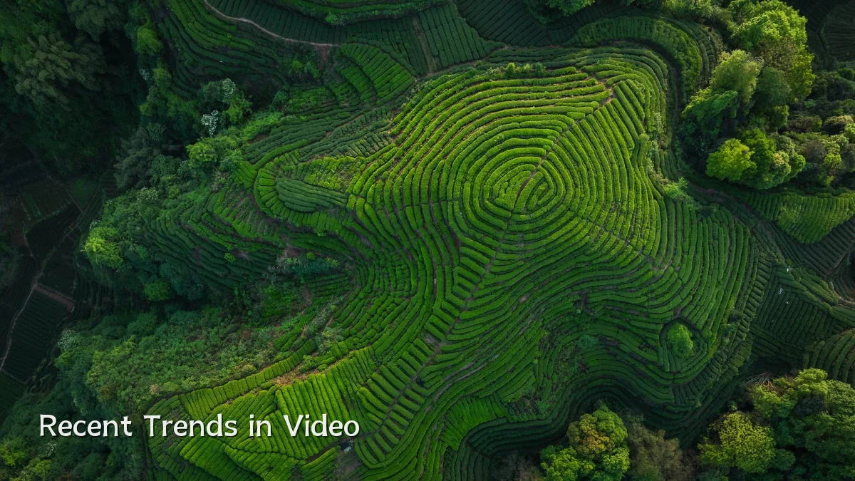 Recent Trends in Video
