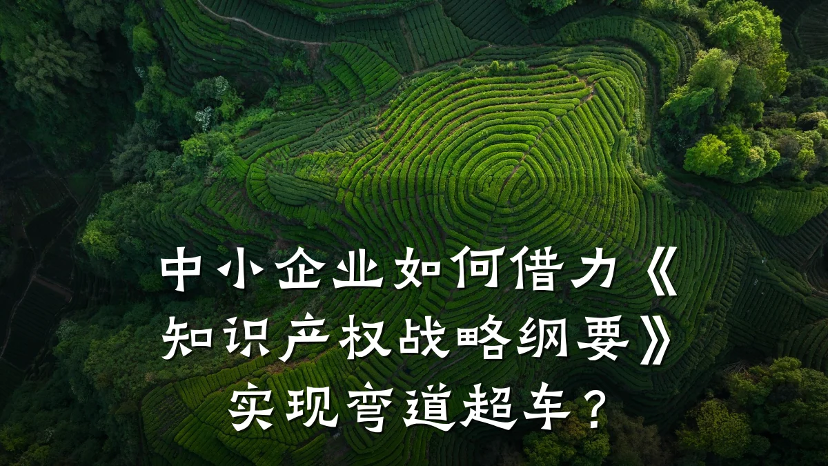 中小企业如何借力《知识产权战略纲要》实现弯道超车?